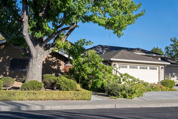 Storm Damage Tree Removal in Inverness, IL