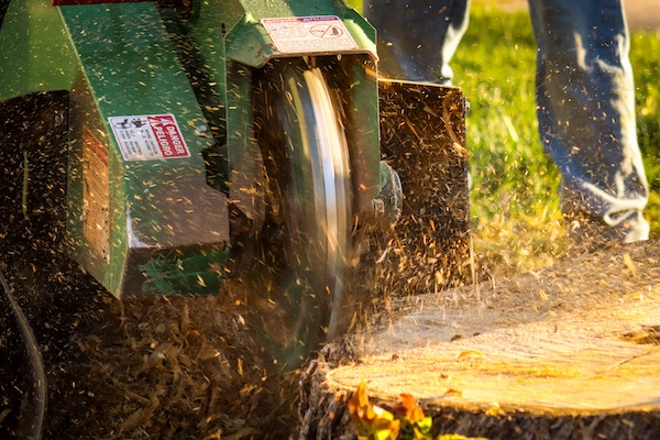 Stump Removal Services in Geneva, IL