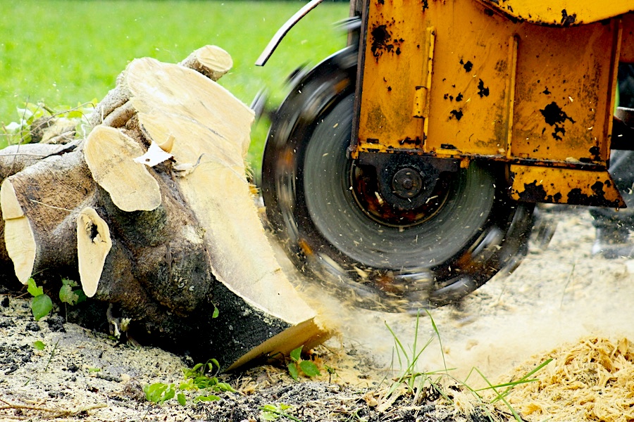 Tree Services in Arlington Heights, IL